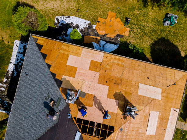 Best Sealant for Roof  in Morgan City, LA