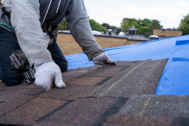 Best Shingle Roofing Installation  in Morgan City, LA