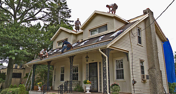 Best Storm Damage Roof Repair  in Morgan City, LA